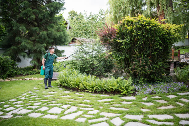 Best Best Pest Control Companies  in Livonia, MI