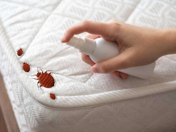 Professional Pest Control in Livonia, MI