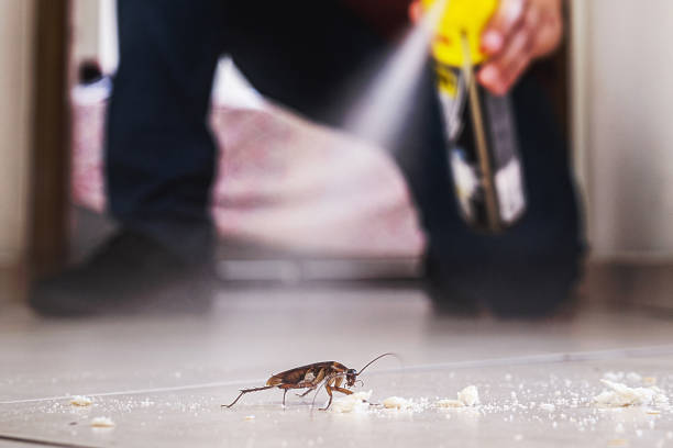 Best Pest Prevention Services  in Livonia, MI