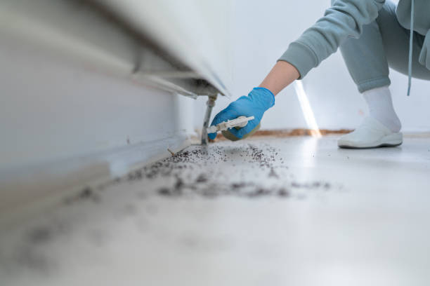 Best Spider Control Near Me  in Livonia, MI